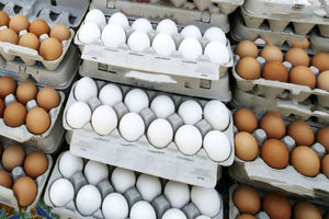 قیمت جدید تخم مرغ 17 بهمن | قیمت تخم مرغ بلدرچین بسته ای چند؟
