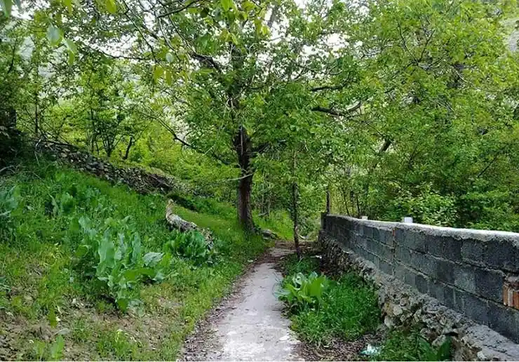 وردیج و روستای واریش