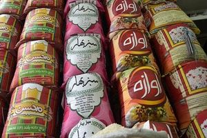 قیمت برنج هندی قد کشید