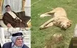 یک شیر در شهر کوفه صاحبش را درید
