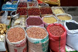 قیمت حبوبات امروز ۲۴ اردیبهشت ۱۴۰۴/ نخود کرمانشاهی کیلویی چند؟