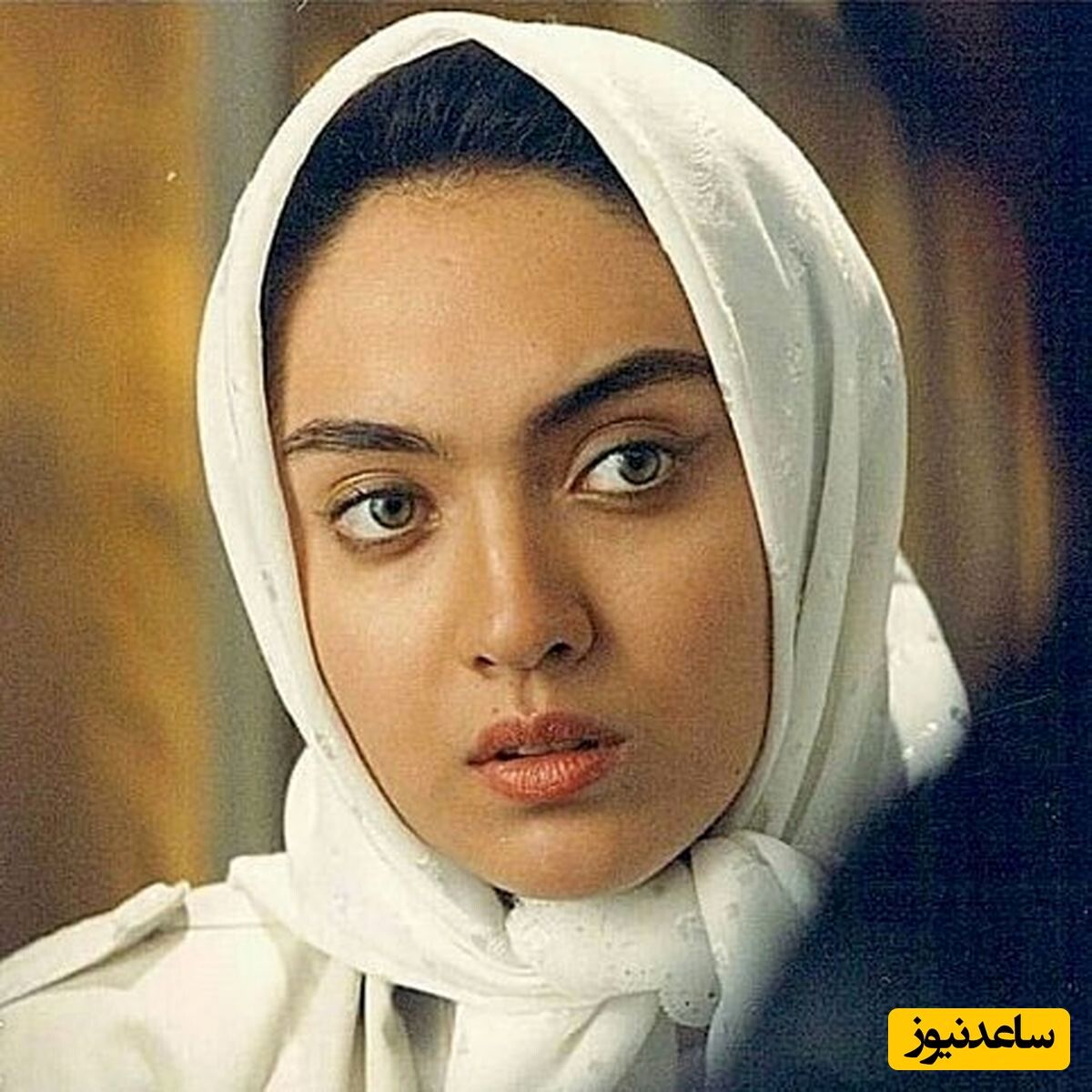 بیستمین سالگرد نیکی کریمی
