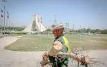 تصاویر؛ قطع درختان میدان «آزادی»