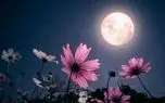 تفال به حافظ پنجشنبه 1 خردادماه ۱۴۰۴؛ هزار دشمنم ار می‌کنند قصد هلاک....