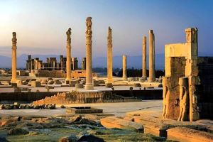 نفوذ گلسنگ تازه کشف‌شده به جان تخت جمشید