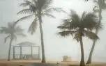 ببینید؛ جزیره کیش غرق در مه شد!