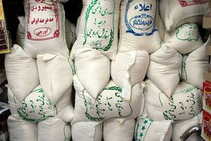 قیمت برنج ایرانی در بازار