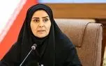 رئیس امور اطلاع‌رسانی دولت: عده‌ای هر روز در حال پخش شایعات کودکانه هستند
