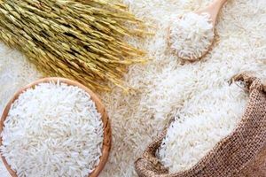 قیمت برنج ایرانی امروز ۱۰ خرداد ۱۴۰۴