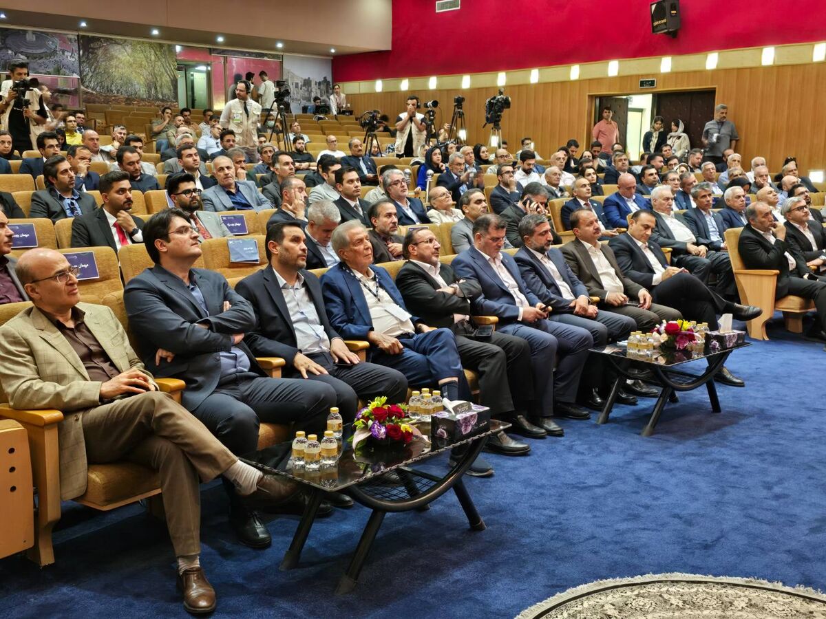 شرکا خواستار پایان صنعت دستوری خودرو در بحران تداخل هستند