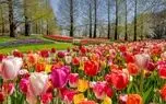 تفال به حافظ دوشنبه 12 خرداد 1404؛ گر ز دست زلف مشکینت خطایی رفت رفت....