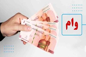 وام یارانه دولتی 8/000/000 تومانی با اقساط 400 هزار تومانی به هر کد ملی