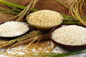 راهکار ژاپنی برای کاهش قیمت برنج در بازار ایران
