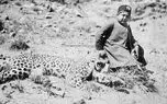 روزگاری که تهران پلنگ داشت