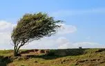 وزش باد شدید و رگبار در انتظار برخی استان‌ها