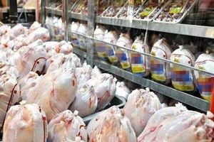 قیمت مرغ امروز ۱۵ خرداد ۱۴۰۴