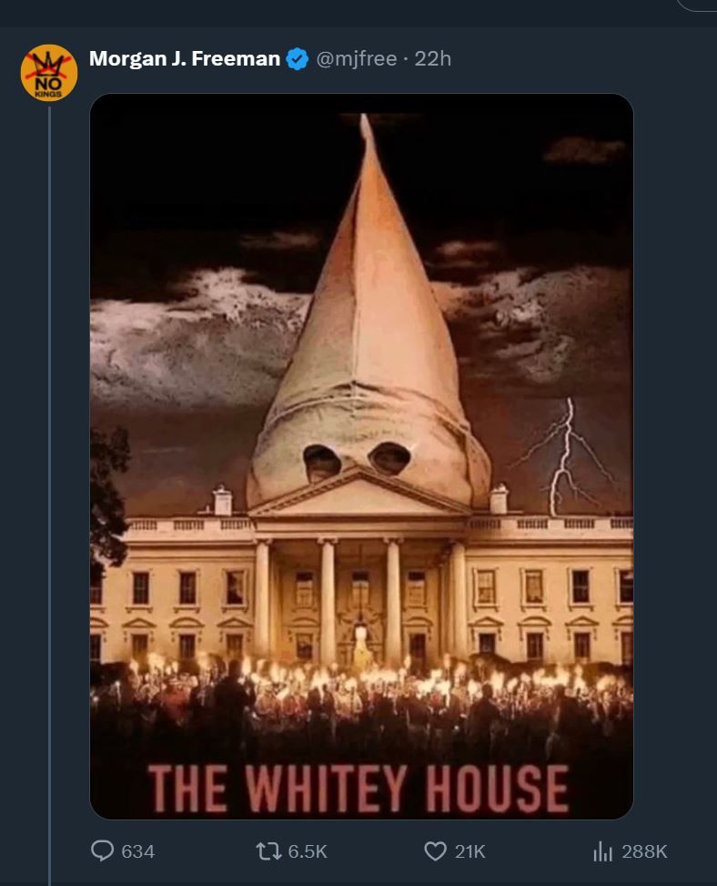 مگس