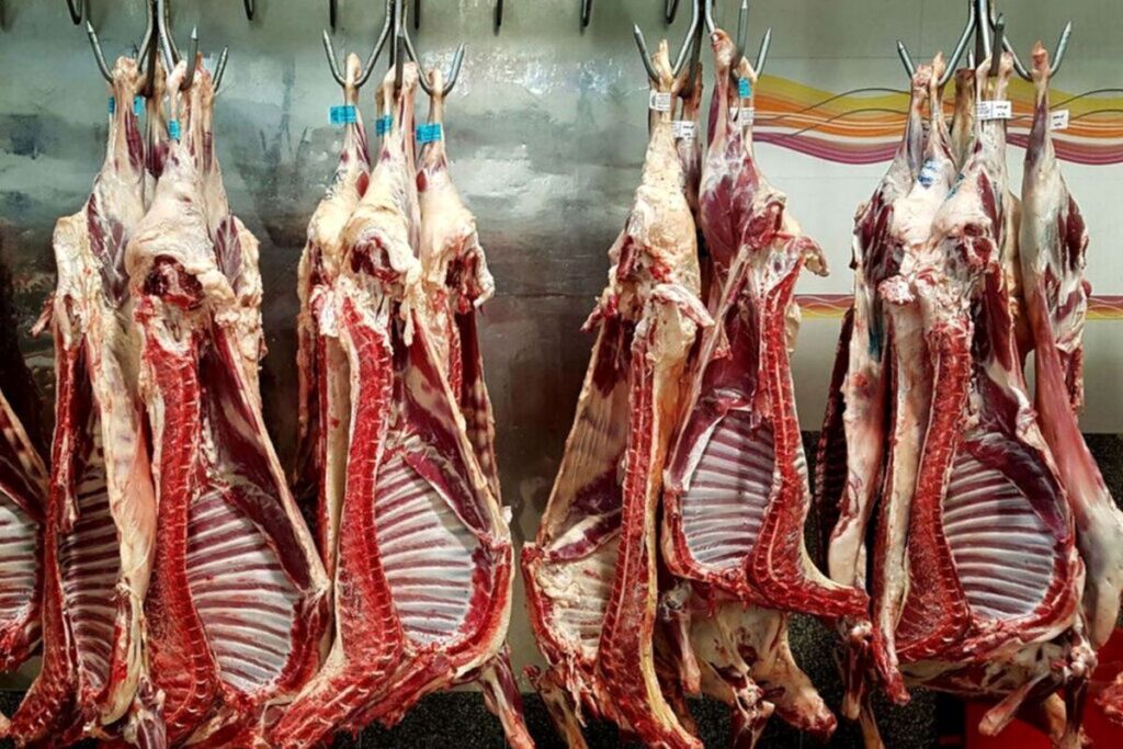 قیمت گوشت قرمز امروز ، 6 ژوئیه | چند عضله گوسفند کیلو؟