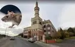 حکم زندان برای یک مرد به دلیل رهاسازی موش در مسجد
