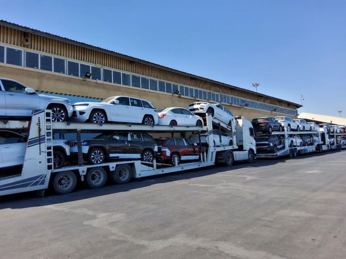 تشکیل کارگروه ویژه برای ترخیص فوری ۱۴ هزار خودروی خارجی در هرمزگان