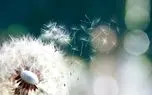 تفال به حافظ پنجشنبه 9 مرداد ۱۴۰۴؛دلا بسوز که سوز تو کارها بکند....