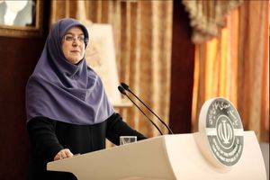 تقسیم‌کار برای تسهیل سفر اربعین انجام شده است