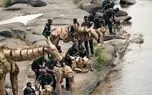 ببینید؛ پایان سفر ۲۰ هزار کیلومتری حیوانات مقوایی
