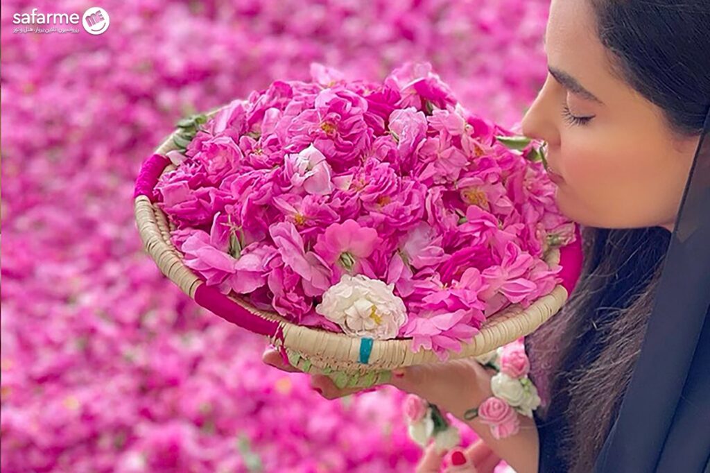 PHOTO_۲۰۲۵-۰۸-۱۵_۲۳-۰۱-۵۵