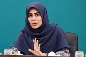 شورای امنیت کشور، برگزاری کنسرت های خیابانی را تصویب کرده است