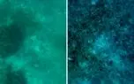 با این فناوری دنیای زیر آب را واضح ببینید