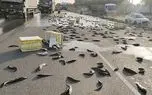 ببینید؛ واژگونی وانت پر از ماهی در بزرگراه