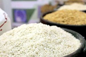 اعلام قیمت برنج تنظیم بازاری