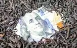 آخرین وضعیت پرونده چای دبش؛ چرا فاطمی امین و ساداتی‌نژاد هنوز به زندان معرفی نشده‌اند؟