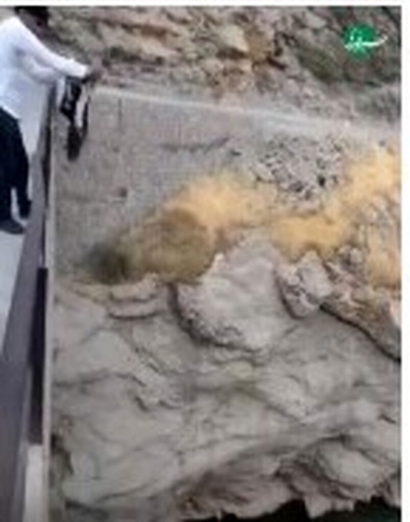 بازی با یک کودک خردسال با قیمت دیده شدن +فیلم