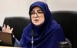 سخنگوی دولت: شورای عالی ایرانیان تشکیل می‌شود