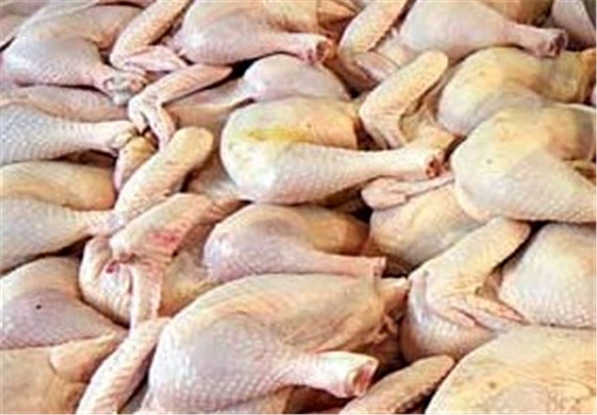 قیمت مرغ امروز چند فیله مرغ کیلو؟