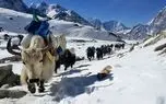 ببینید؛ تلاش برای نجات ۱۰۰۰ کوهنورد گیر افتاده در اورست