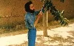 من در این آبادی، پی چیزی می‌گشتم: پی خوابی شاید
