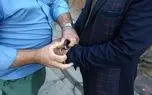 بازداشت یک عضو شورای شهر کرمانشاه