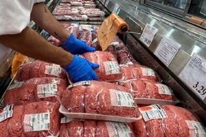 شروع دوباره توزیع گوشت تنظیم بازار با قیمت جدید