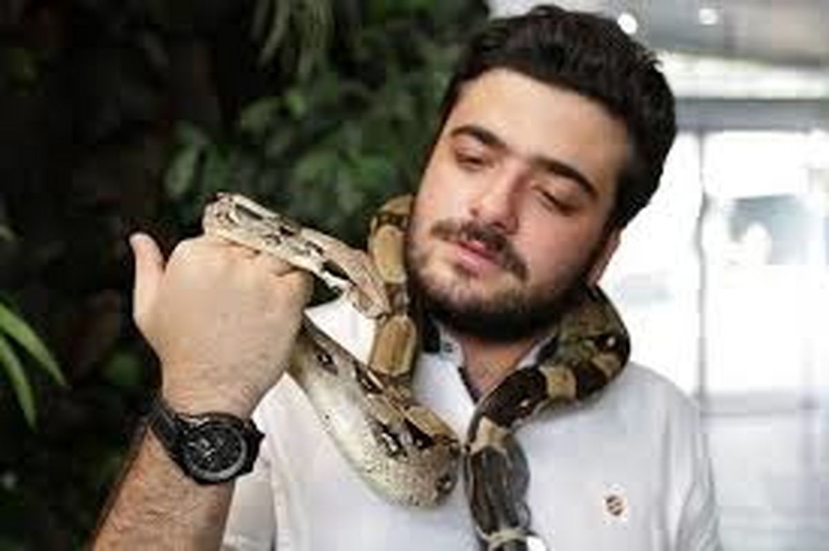 سفر زمانی ؛