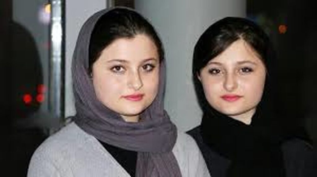 نیکای سریال پایتخت زیر چاقو رفت/فیلم