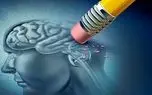 تقویت حافظه کوتاه‌مدت/ چرا گاهی اسم‌ها را فراموش می‌کنیم؟