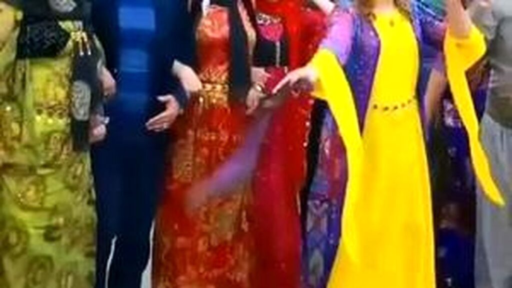 رقص و شادی زنان بندرعباسی با نوای نی انبان/فیلم