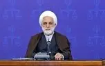 اژه‌ای: قوه قضاییه آماده پشتیبانی‌های حقوقی و قضایی از جامعه پرستاری کشور است