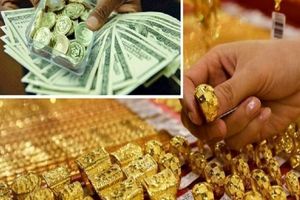 رکوردشکنی قیمت سکه و طلا ۱۴ آبان