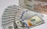 زور ارز ترجیحی به گرانی نرسید