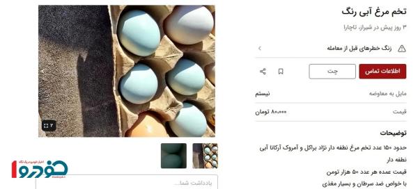 قیمت تخم مرغ