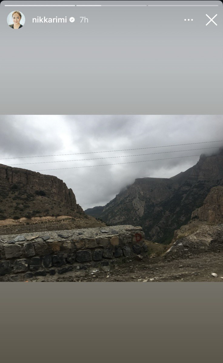 واکنش نیکی کریمی به آتش سوزی جنگل های شمال ۲