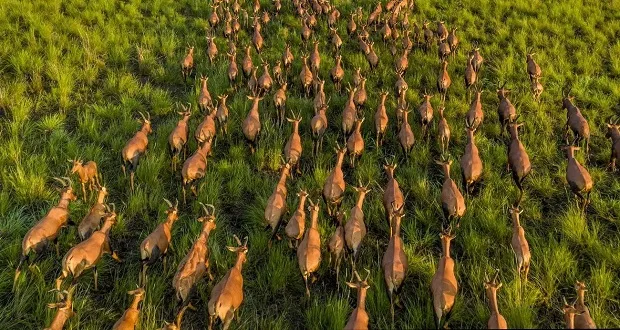 بهترین عکس های سال 2025 نشنال جئوگرافیک 3